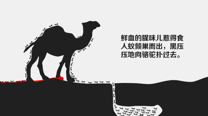 【吴越学校】最近网上非常火的一组图,你一定要看! 【吴越学校】最近网上非常火的一组图,你一定要看!