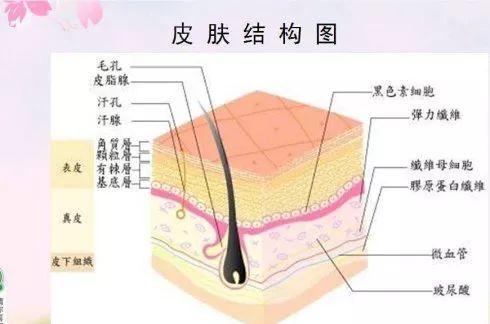 吴越学校2019新课程发布会重磅来袭！速来围观！