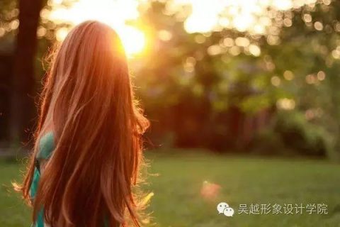 相对于这碗鸡汤，小编更喜欢这些美腻的插图。。。