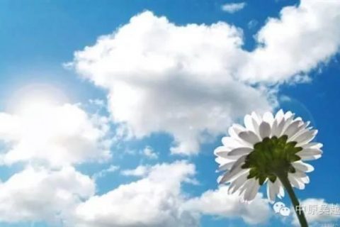 【吴越学校】每天8件事，生活越来越顺