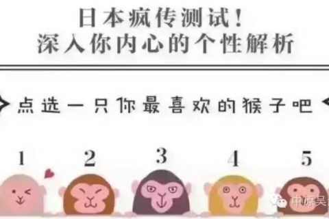 5只猴子选一只，瞬间看透你内心，神准！