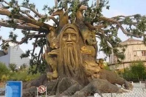 纳尼？大树理论是什么鬼？