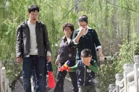 【吴越学校】小编教你怎么预防美丽的柳絮给人带的困扰