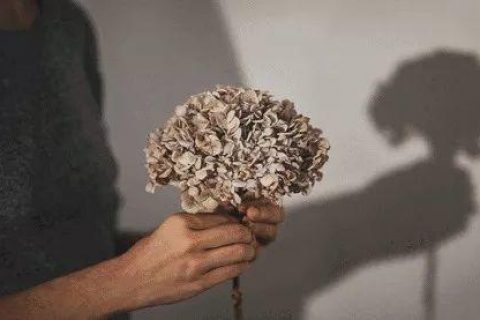 梁实秋：人生，没有太晚