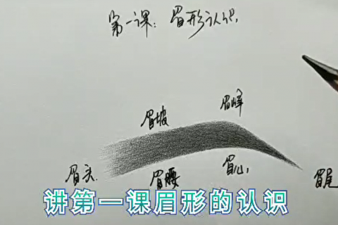 眉形的认识 | 吴越学校纹绣线上课程