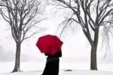 孔子借伞，此生必看