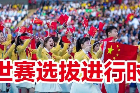 【世赛选拔进行时】第46届世界技能大赛美发项目河南省选拔赛即将开赛！